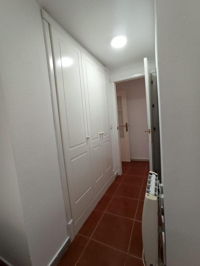 Premium 3 Alcaudon Isla Canela
