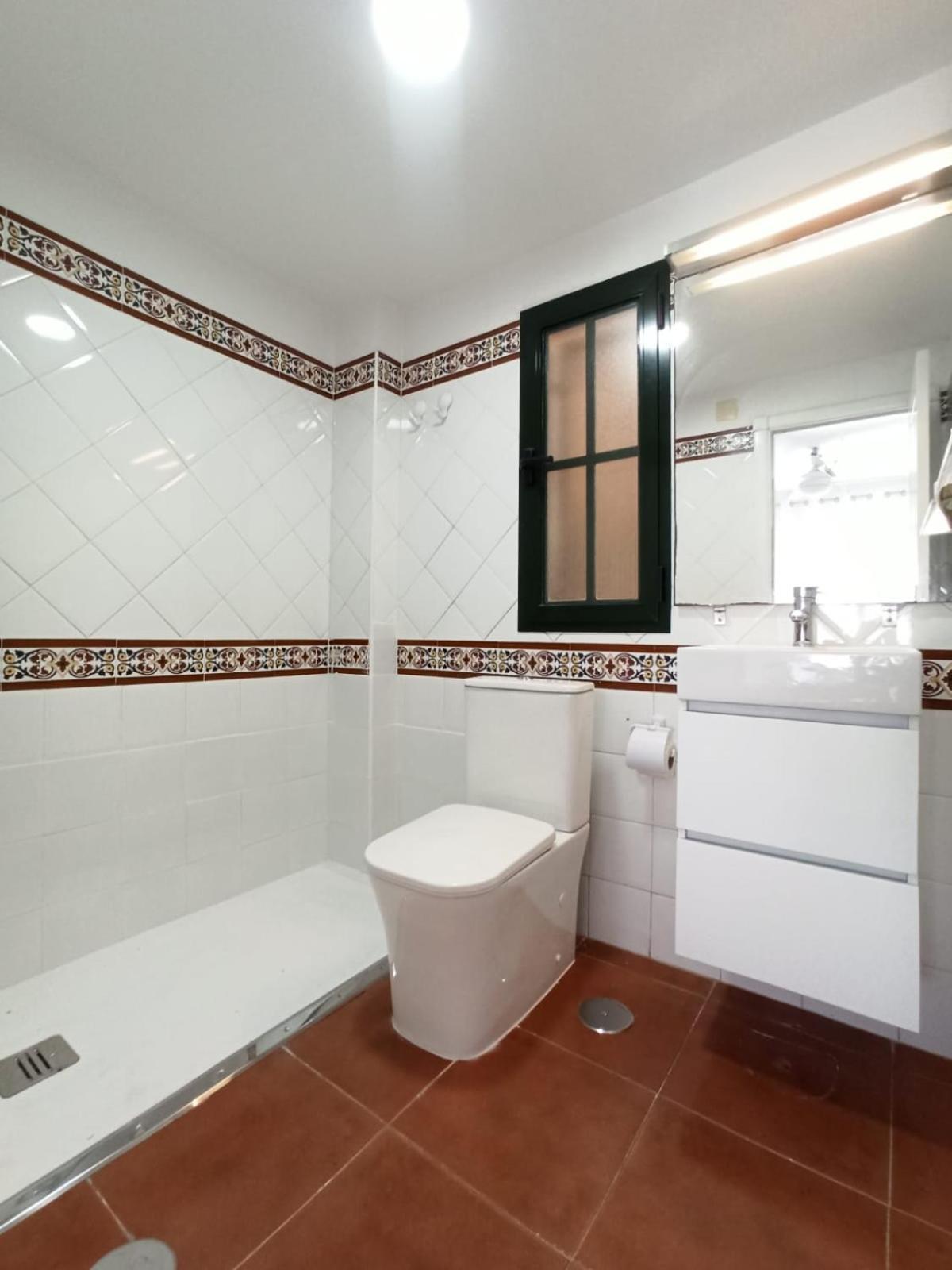 Premium 3 Alcaudon * Isla Canela
