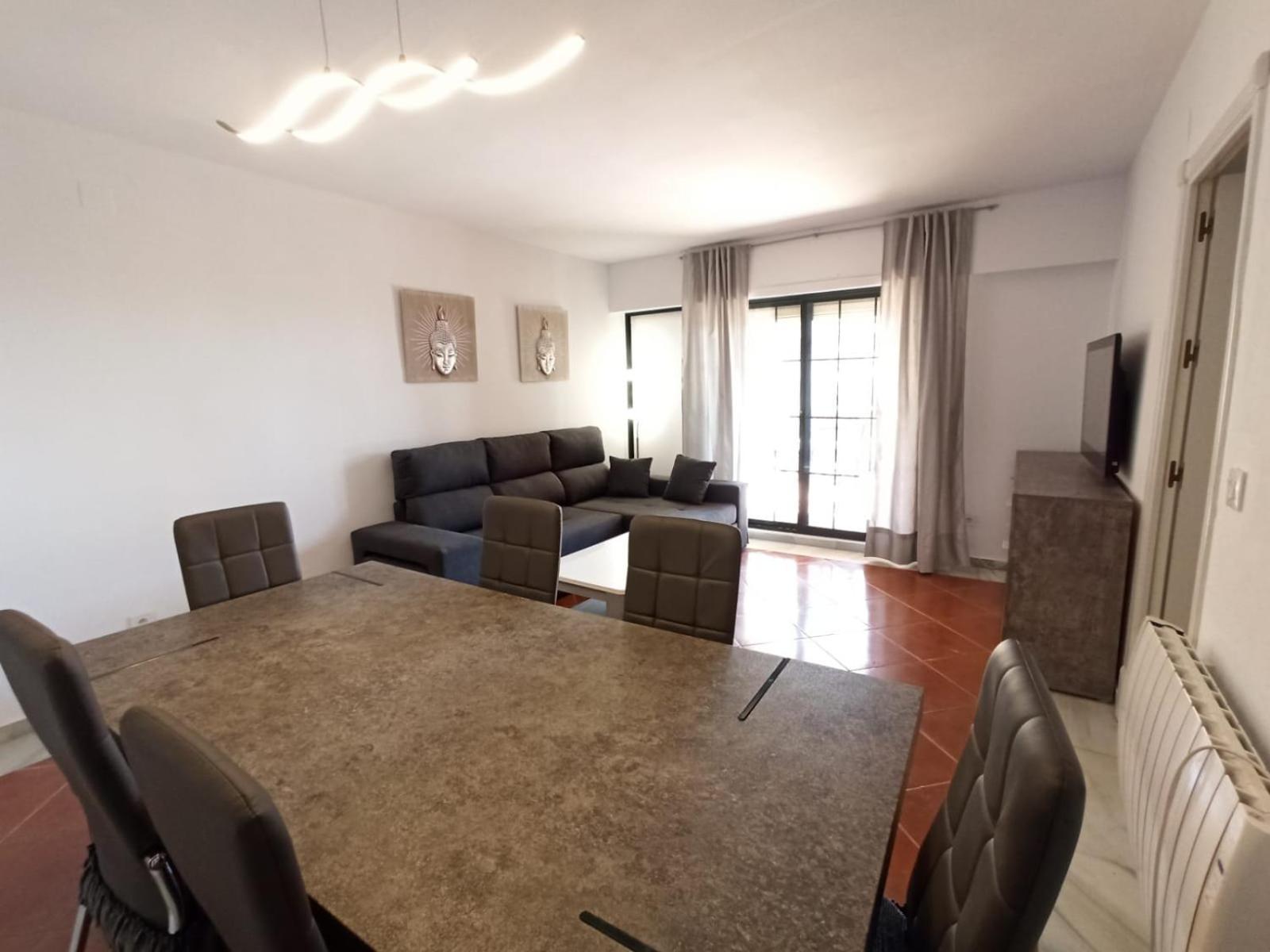 Premium 3 Alcaudon * Isla Canela